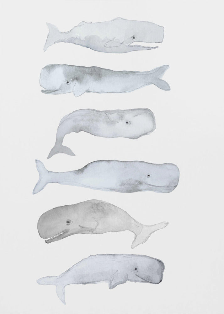 Whale Art | Poster