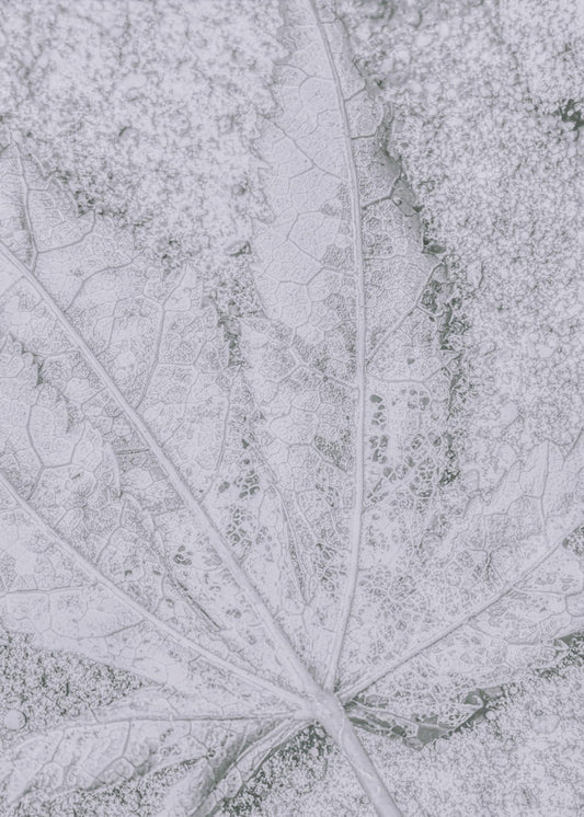 Return to Earth | Canvas