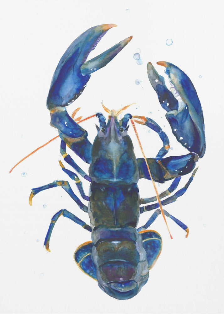 A Blue Lobster | Canvas