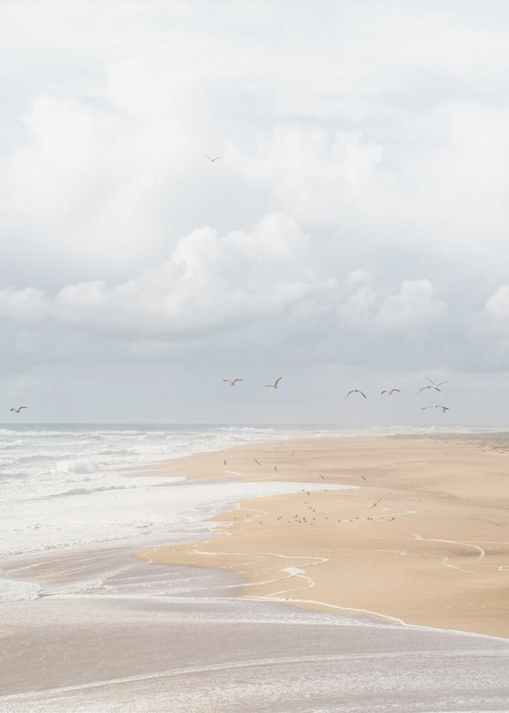 Strand von Nazaré | Leinwand