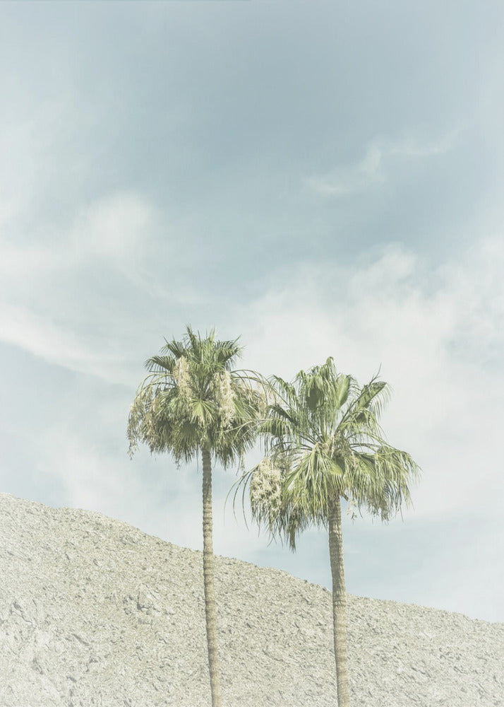 Vintage Palm Trees in the desert | Poster