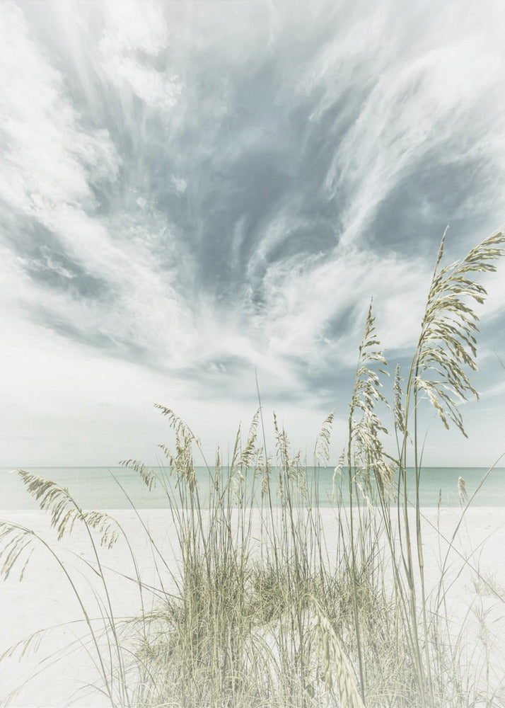 Calmness on the beach | Poster