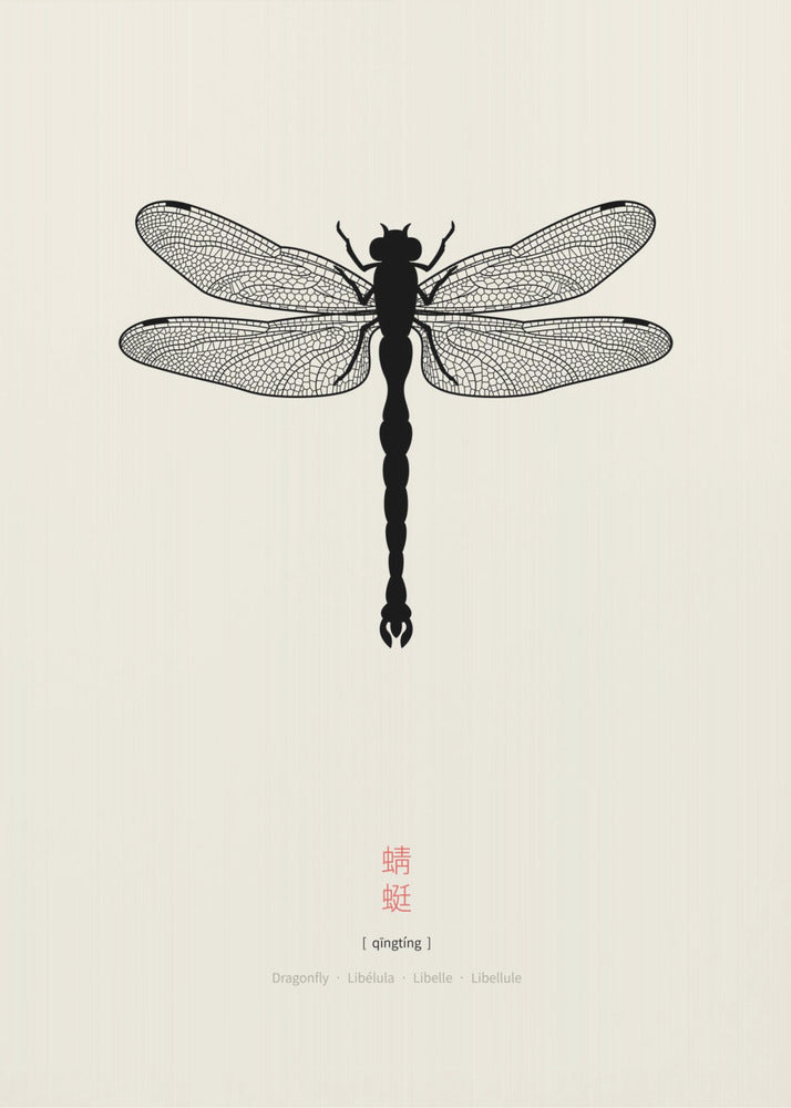 Libelle | Leinwand
