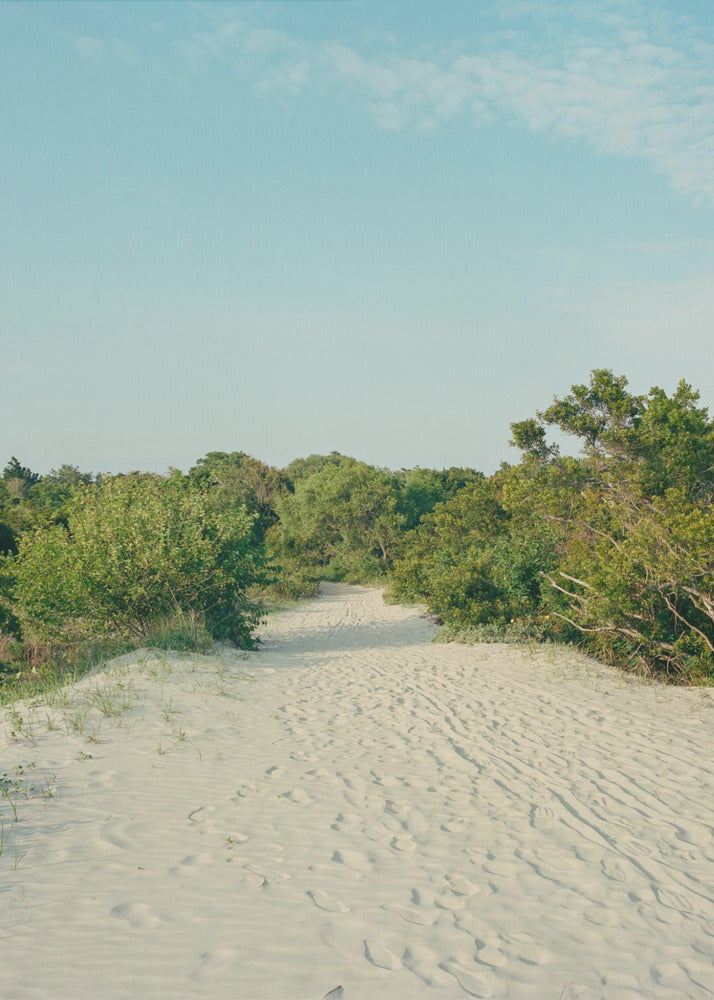 Sullivan's Island | Canvas