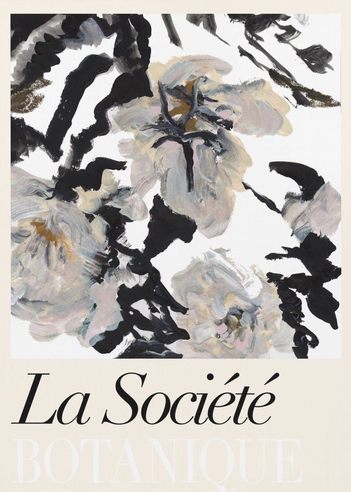 La Société Botanique Balck and White and Cream Flowers 2 | Canvas