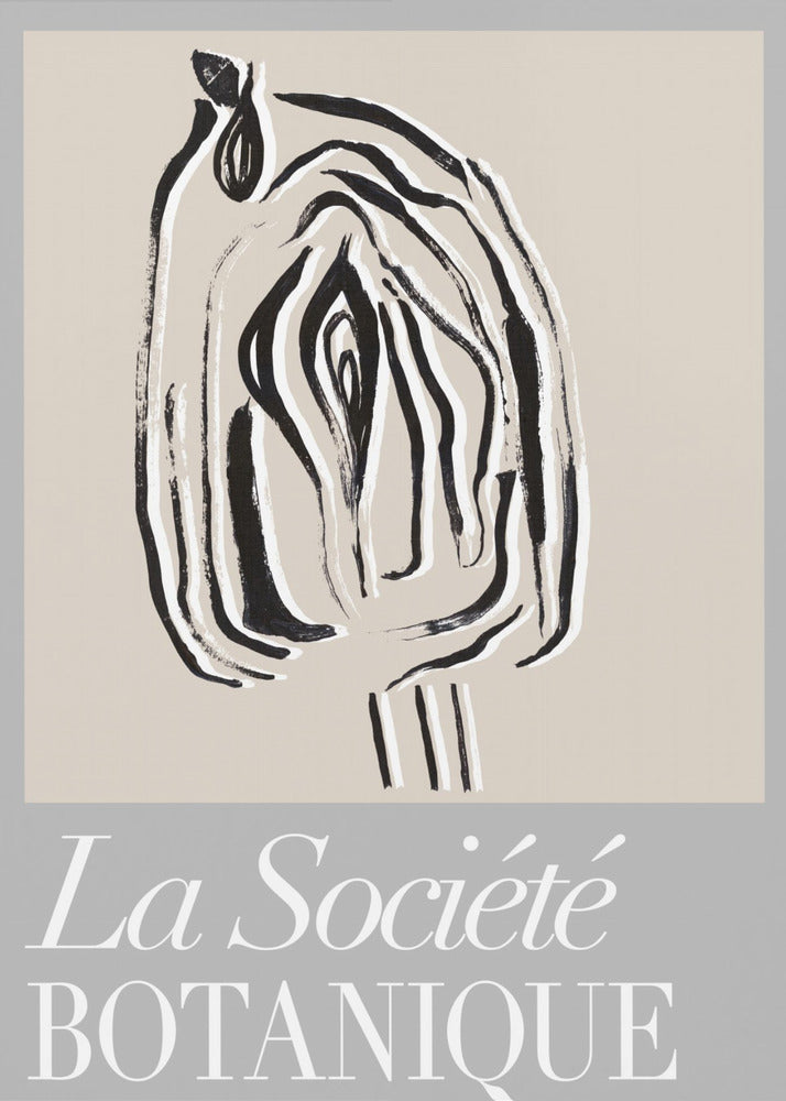 La Société Botanique Seed Pod | Poster
