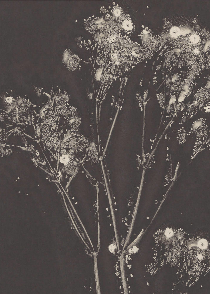 Floral Whispers | Poster