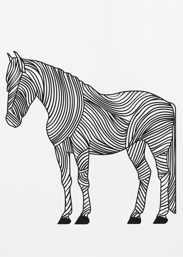 Lines art Horse | Canvas