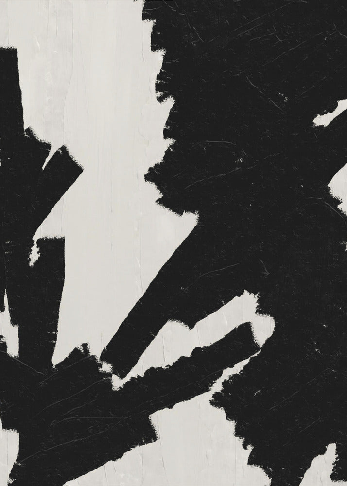 Bold Contrast Canvas | Poster