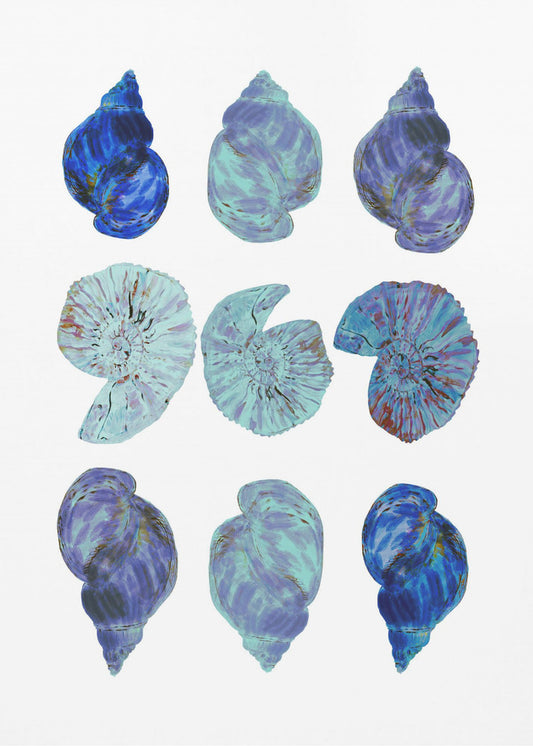Blaue Muscheln Poster | Leinwand