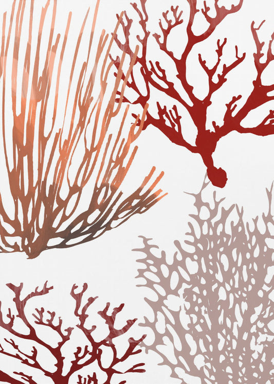 Rosa und rote Meereskoralle | Leinwand