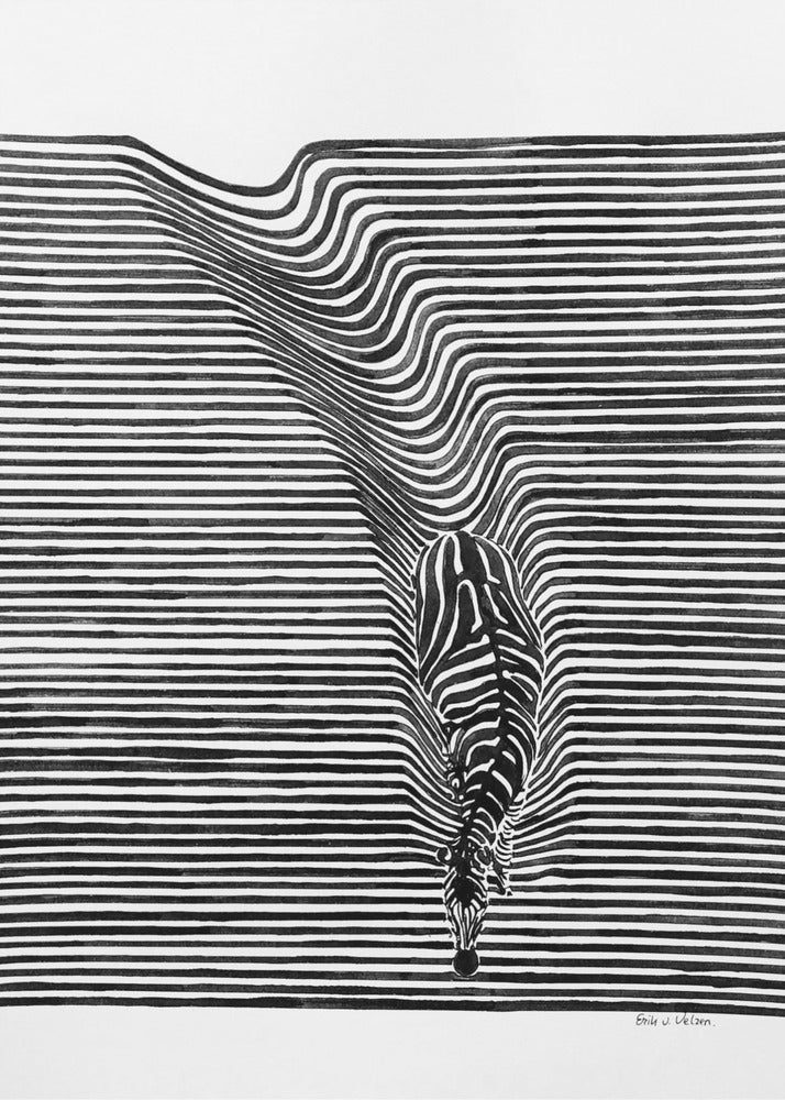 Zebra im Feld | Leinwand