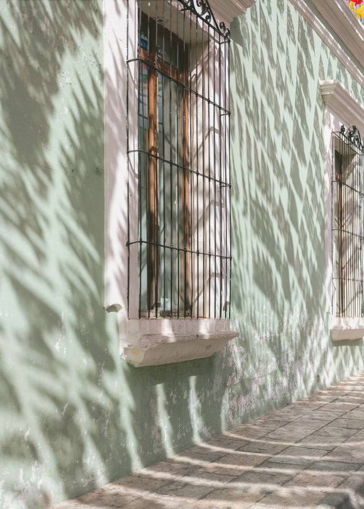 Grünes Oaxaca | Mexiko Reisefotografie | Leinwand