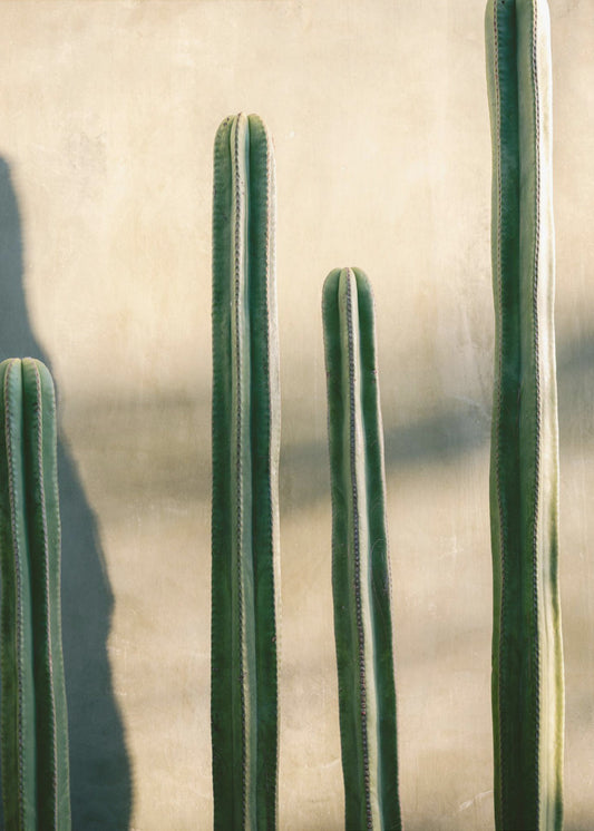 Oaxaca Shades of Green | Mexiko Reisefotografie | Leinwand