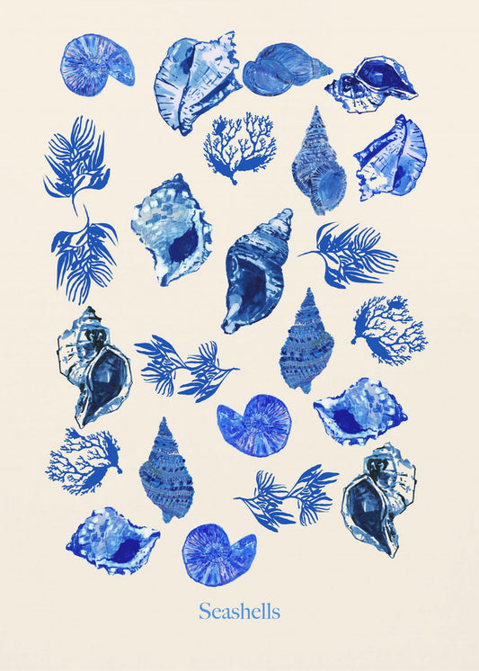 Muscheln Poster | Poster