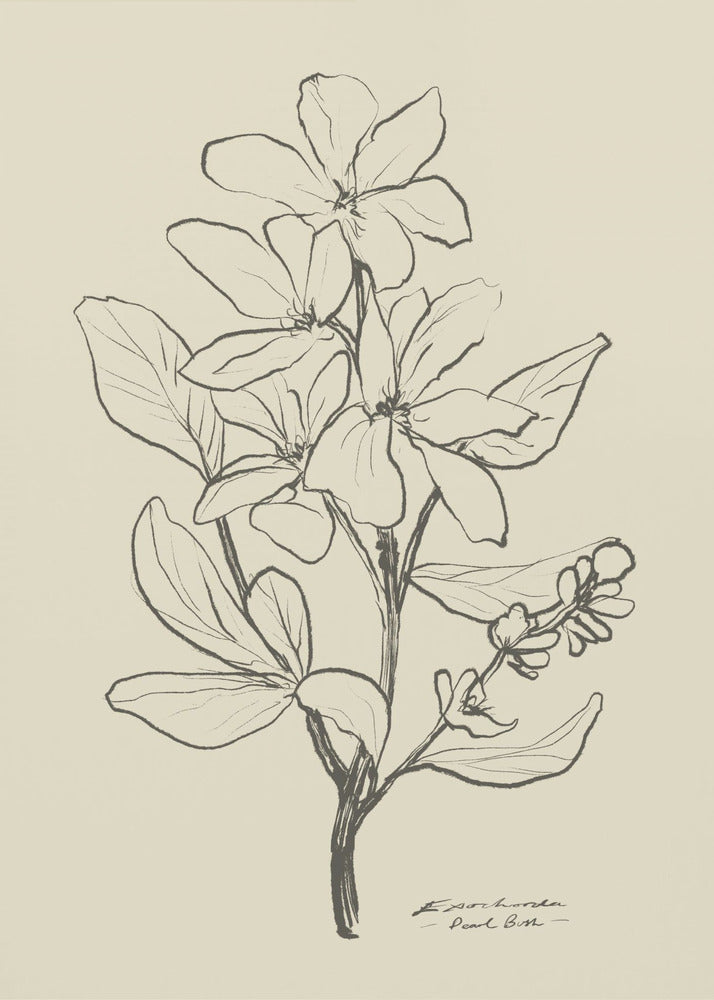 Floral 1 | Poster