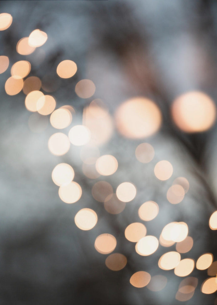Winter Lights | Poster