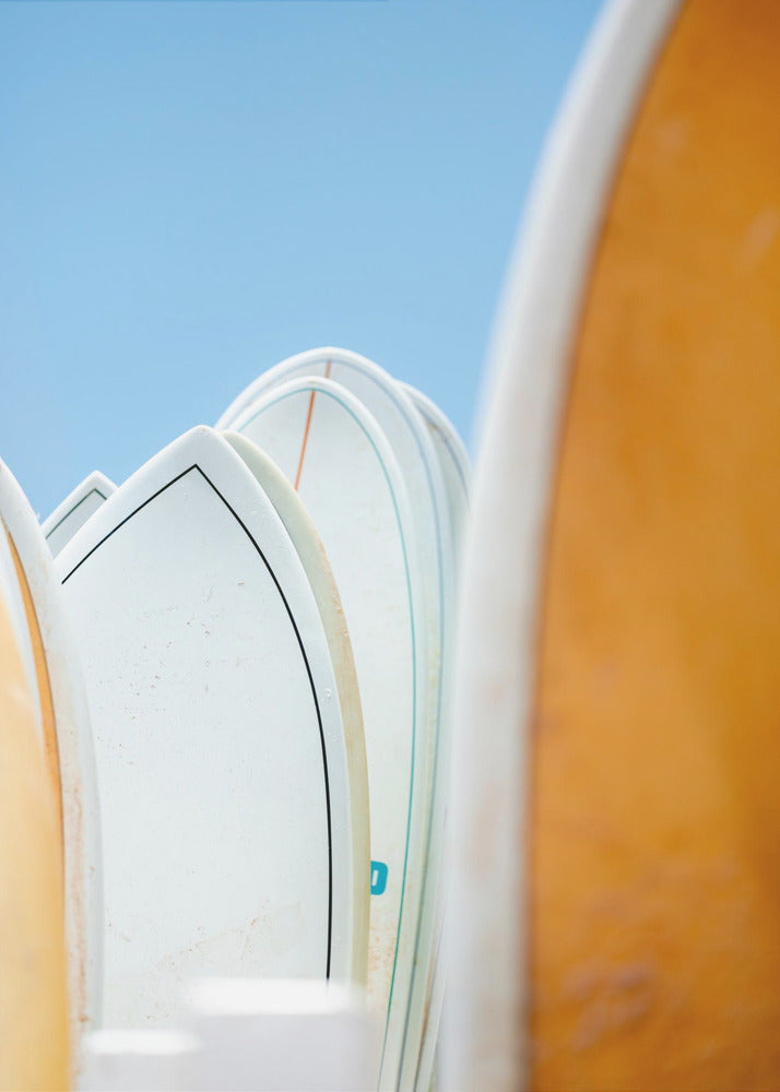 Surf Vibes | Poster