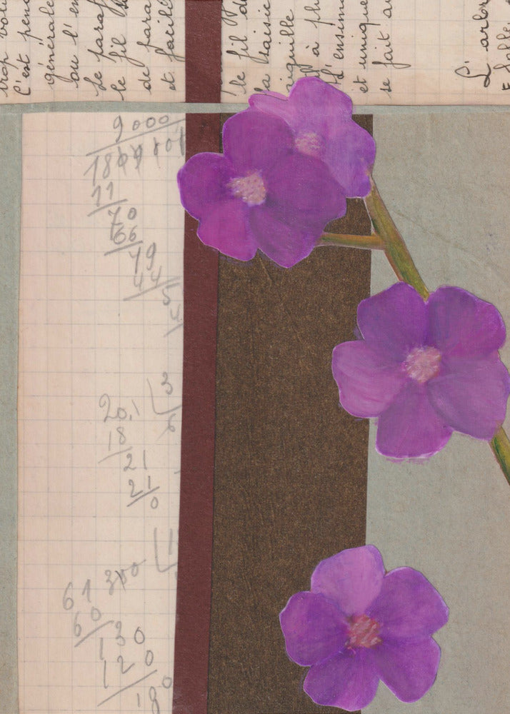 Rosa Blumen | Poster