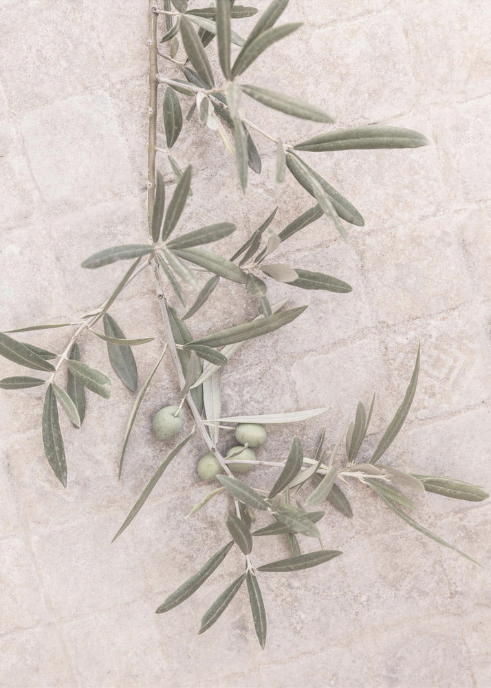 Spanish Tiles | Canvas