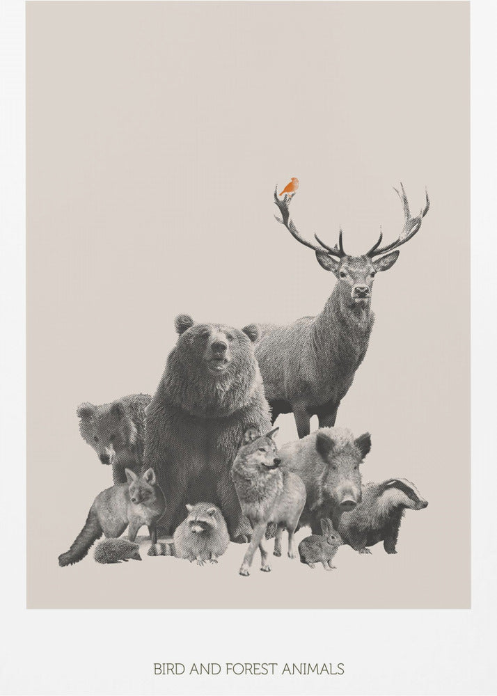 Vogel- und Waldtiere | Poster