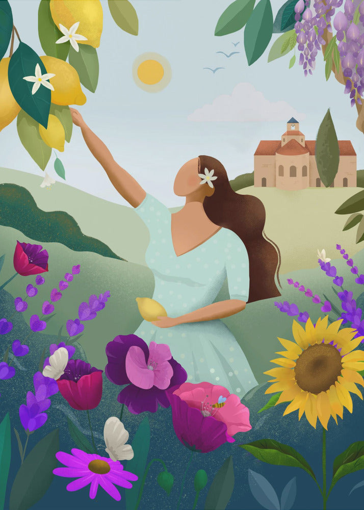 Sommer in der Provence | Poster