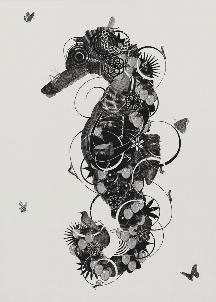 Seahorse | Canvas