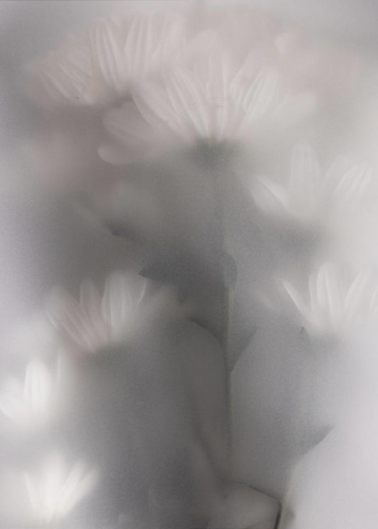 Verschwommene Blumen 4 | Poster
