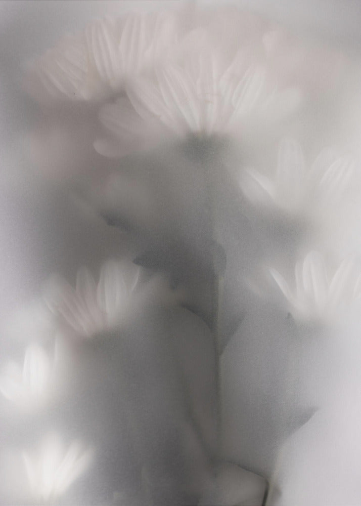 Verschwommene Blumen 4 | Leinwand