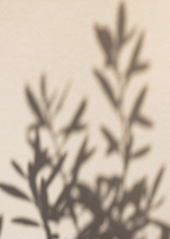 Summer Shadows 6 | Poster