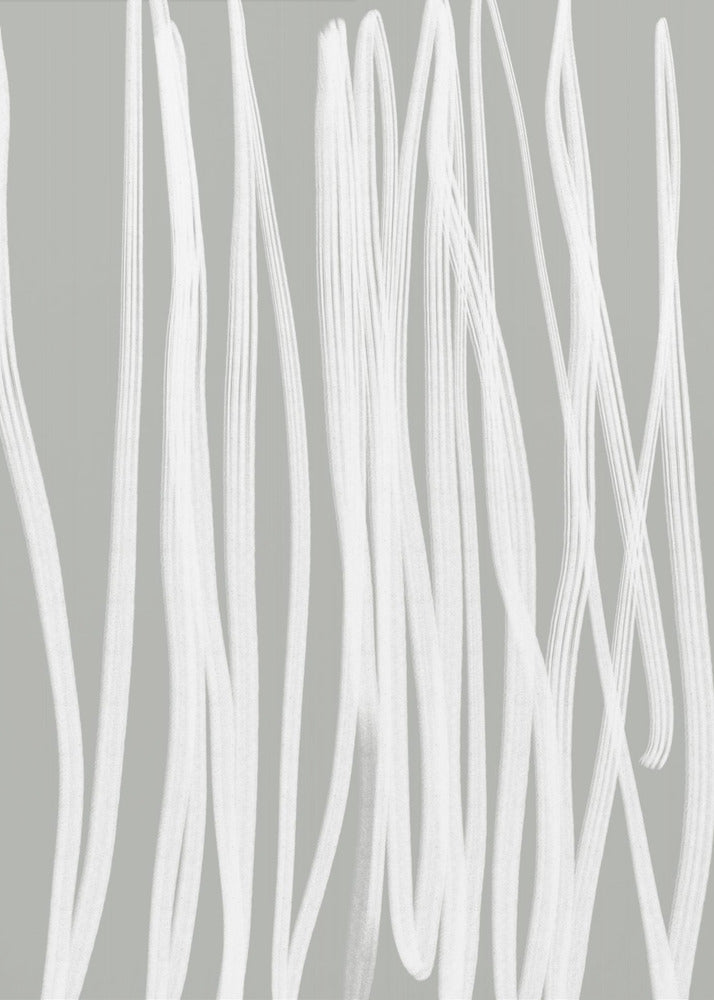 Weiße lineare Striche | Poster