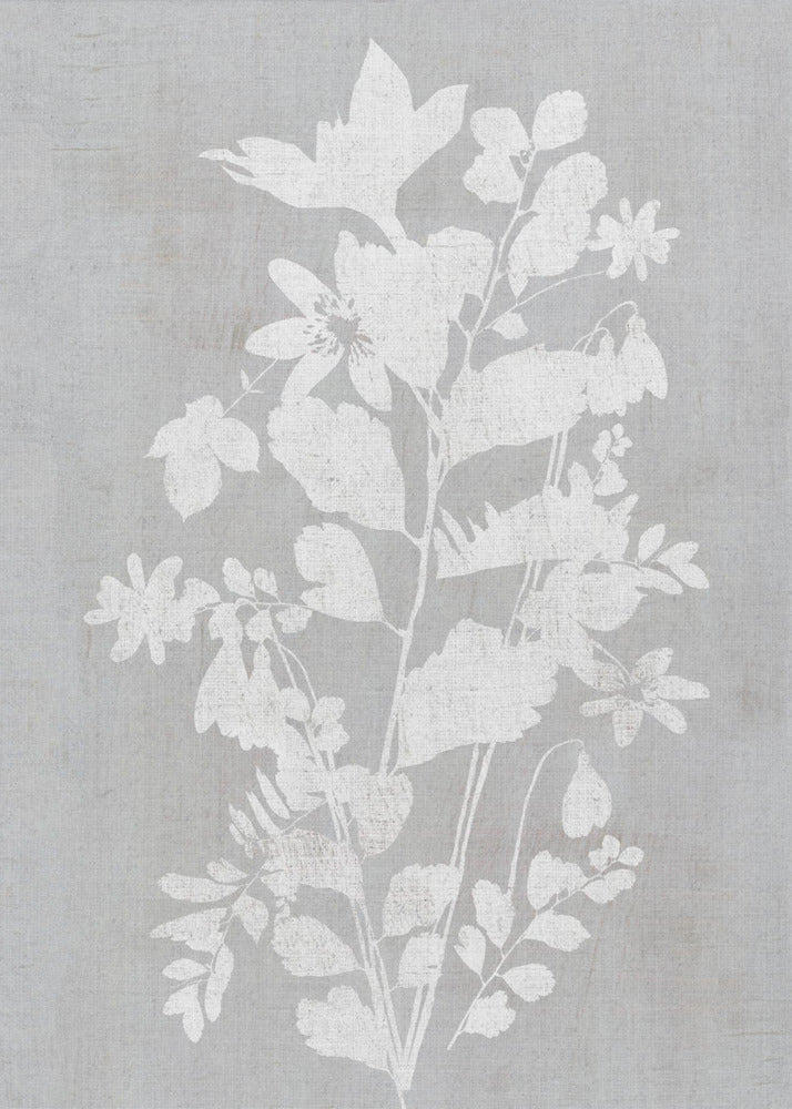Botanische Illustration 2 | Leinwand