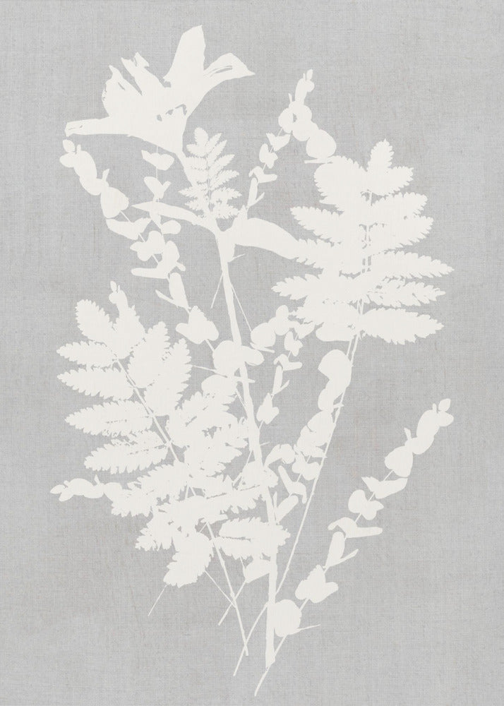 Botanische Illustration 5 | Leinwand