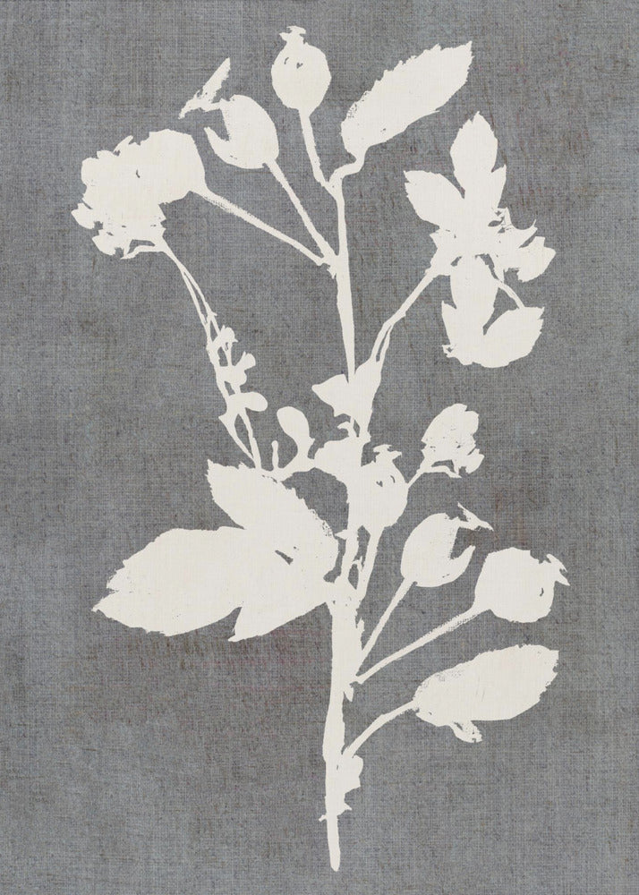 Botanische Illustration 6 | Leinwand
