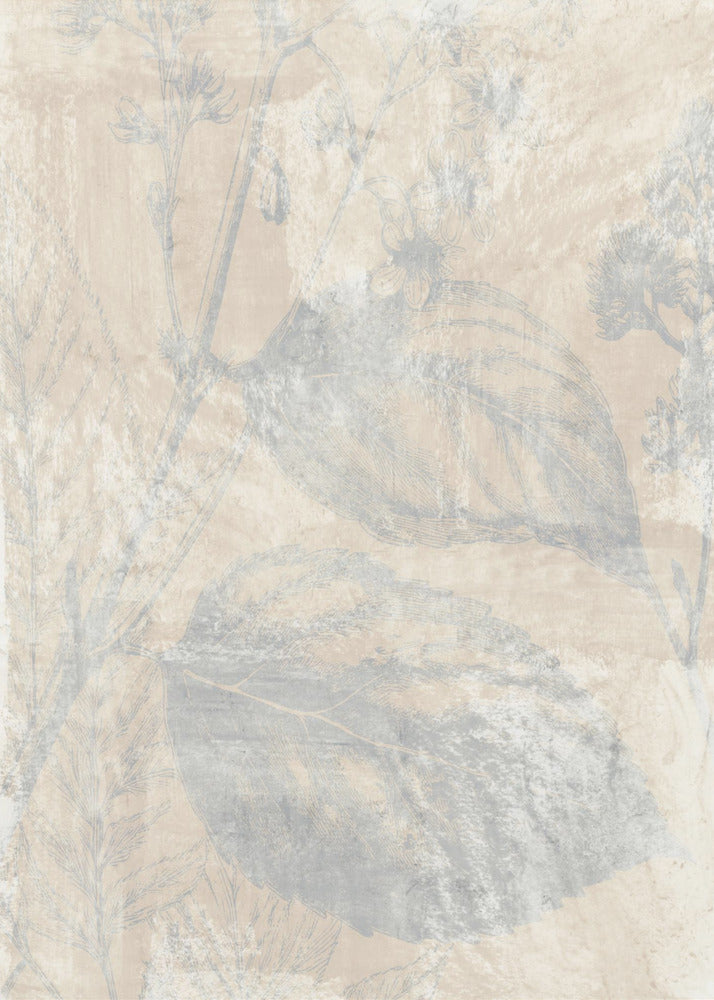 Woodsia 1 | Canvas