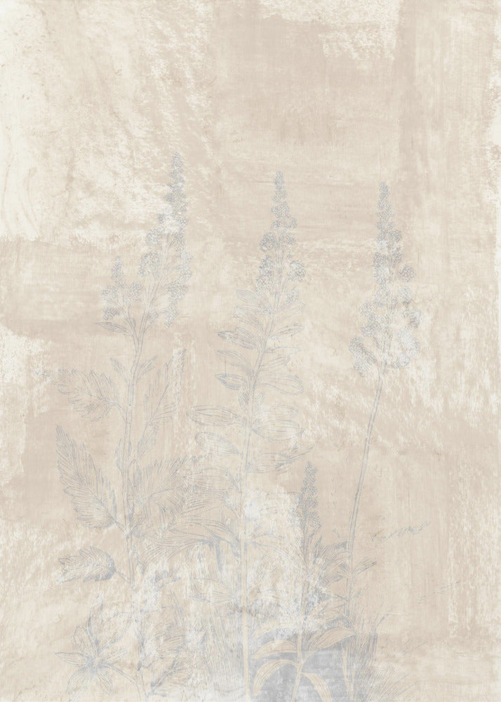 Woodsia 2 | Canvas