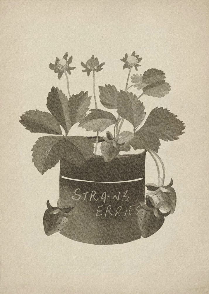 Vintage strawberry plant | Canvas