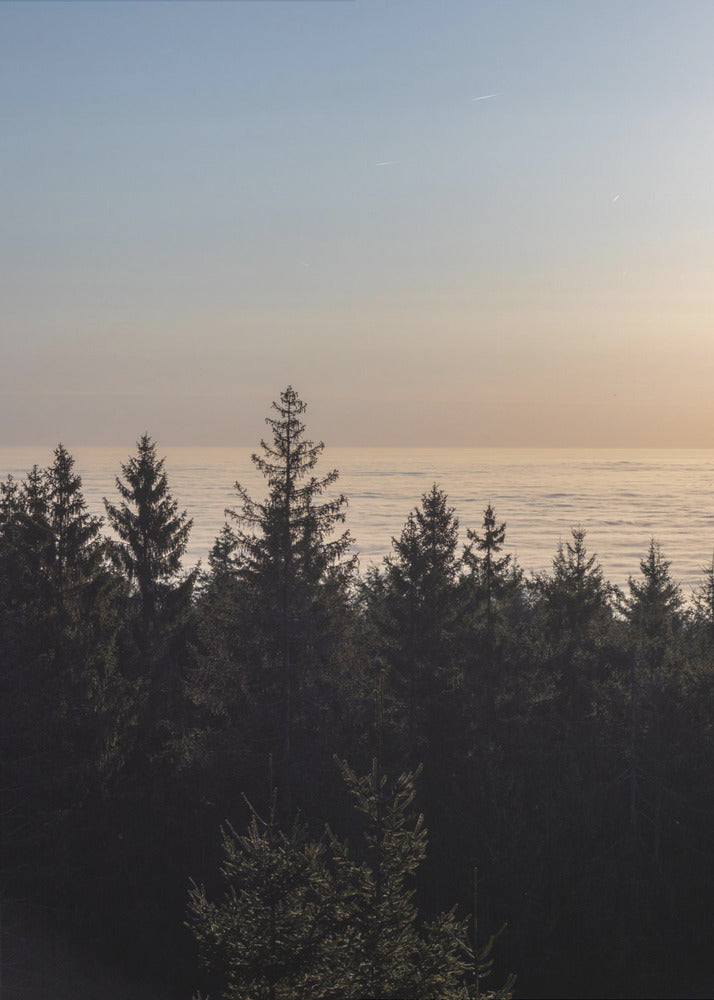 Goldene Stunde 4 | Leinwand