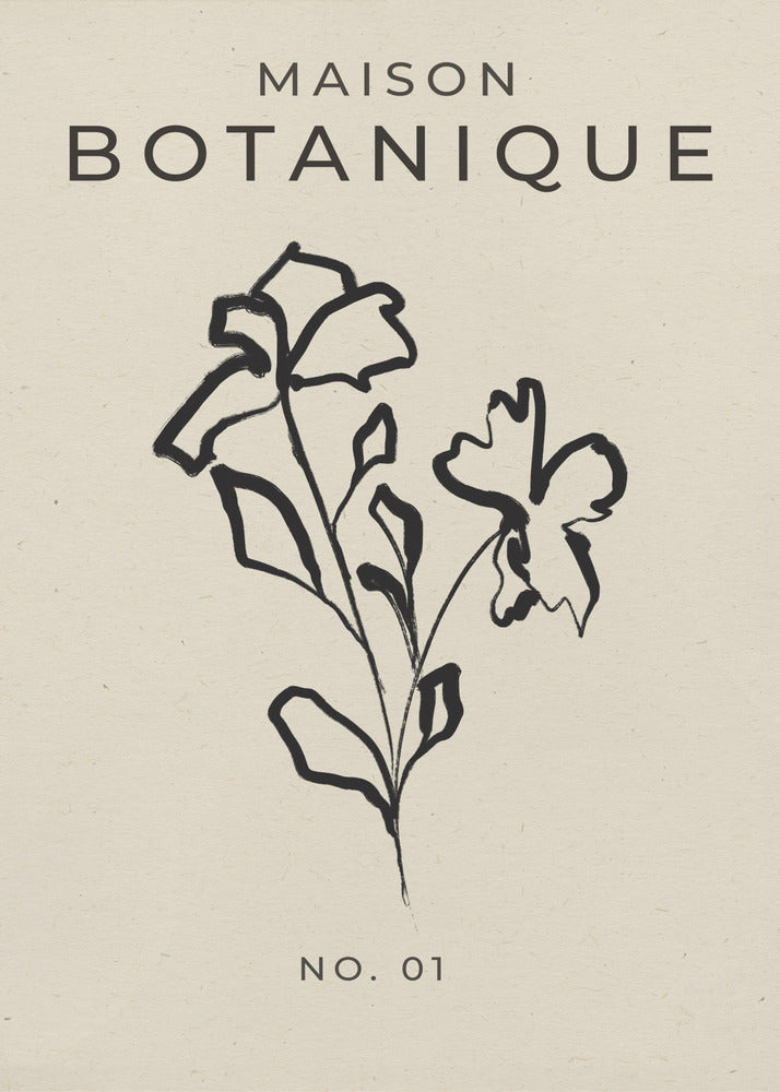 Botanische Skizze | Poster