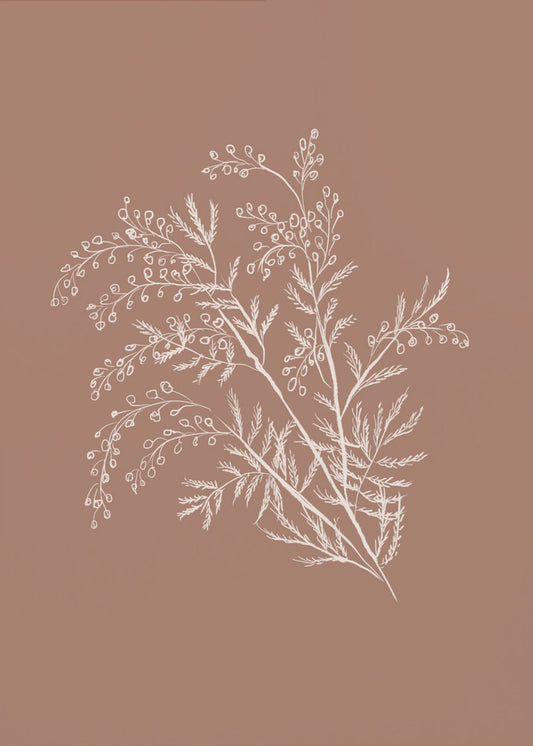 Botanischer Akazienzweig | Leinwand