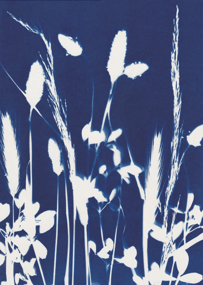 Cyan Herbarium #1 | Poster