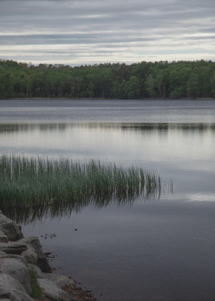 Irgendwo in Schweden 2 | Leinwand