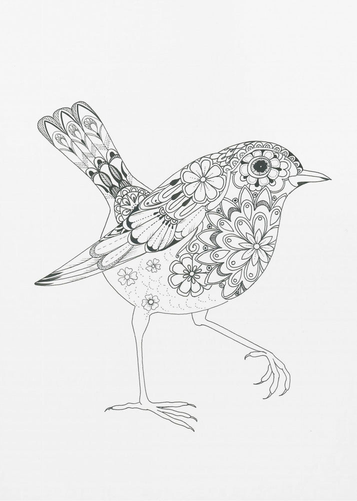 Geblühter Vogel Rotkehlchen | Leinwand
