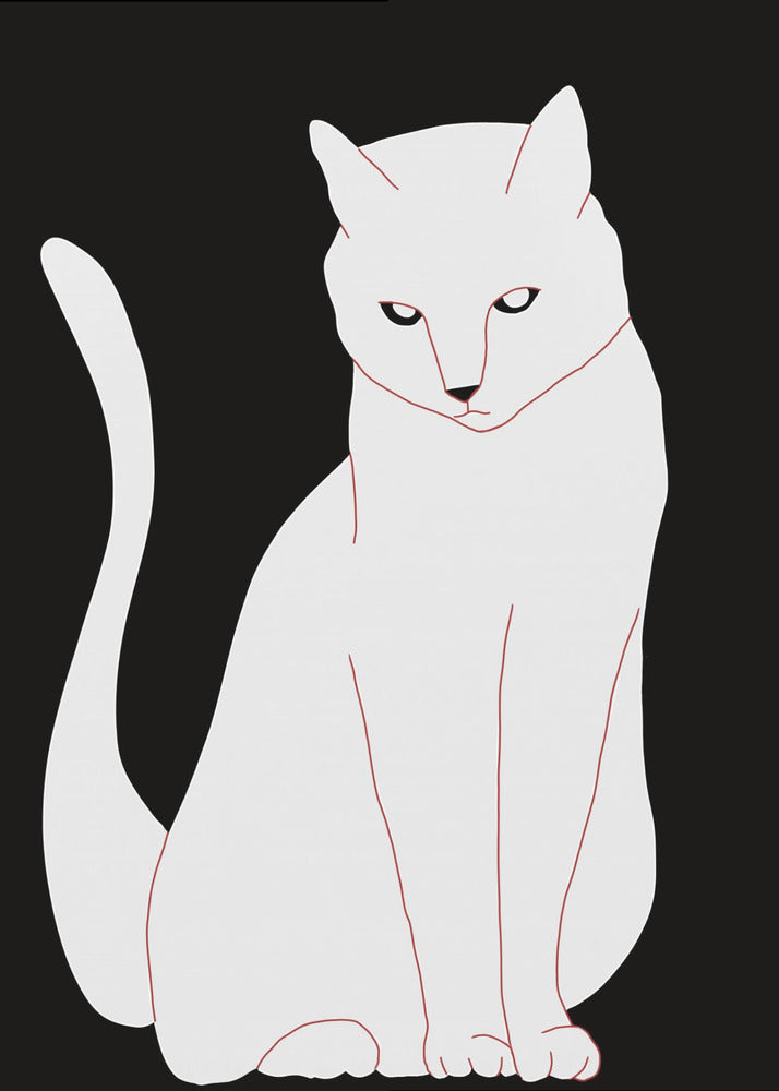 Weiße und schwarze Katze | Leinwand
