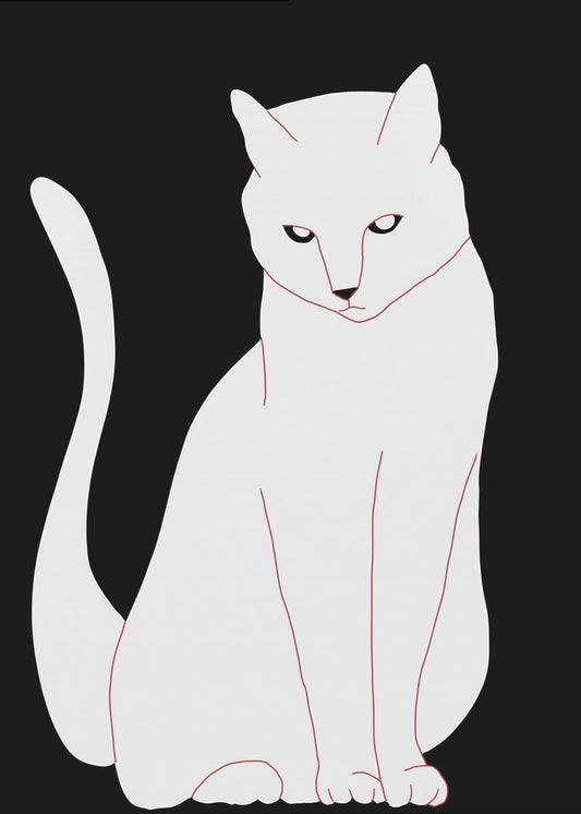 Weiße und schwarze Katze | Leinwand