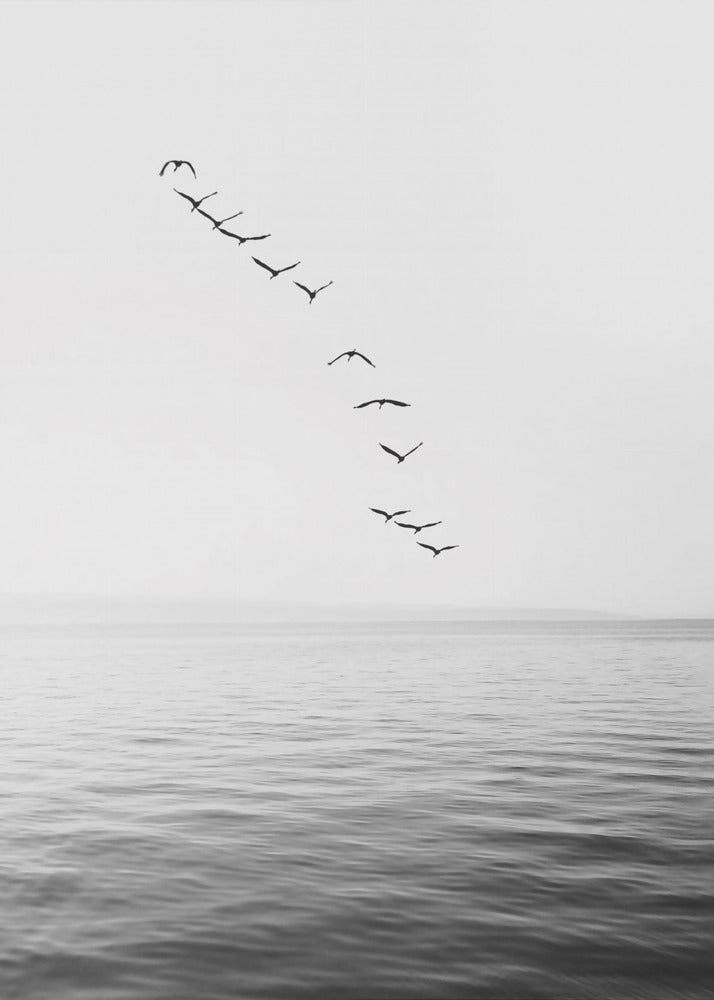 Flying Birds | Canvas