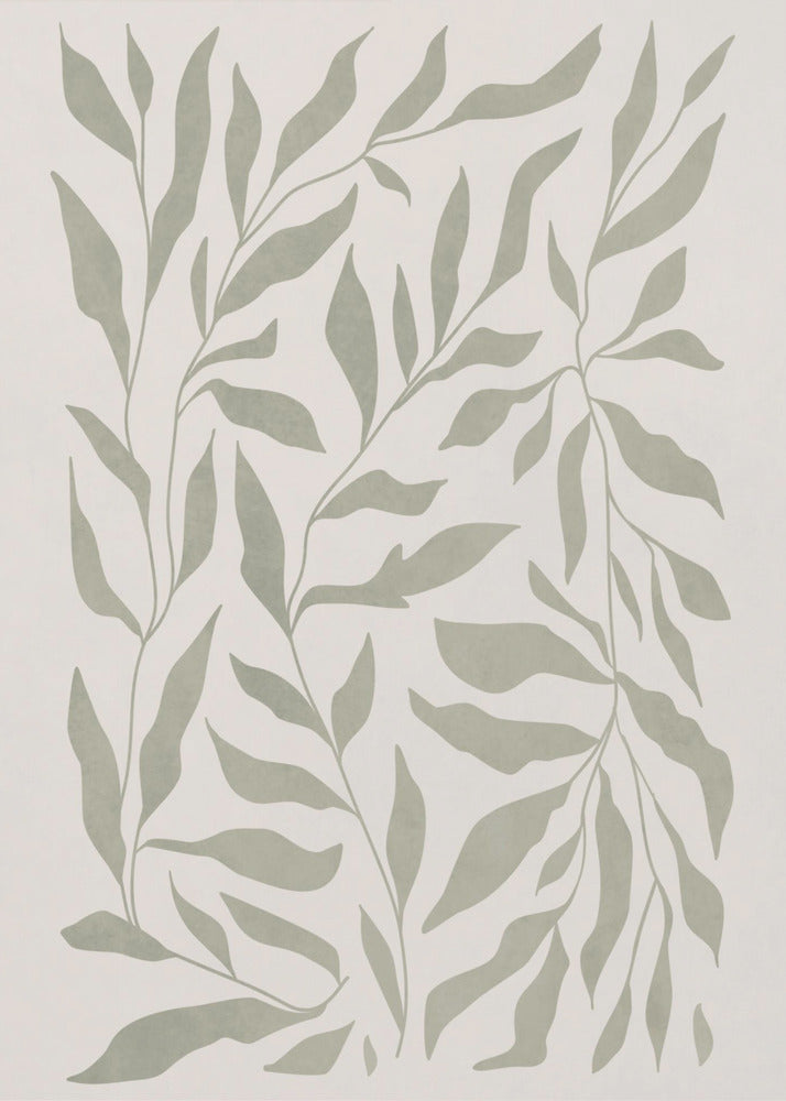 Olivgrüne Blätter | Poster