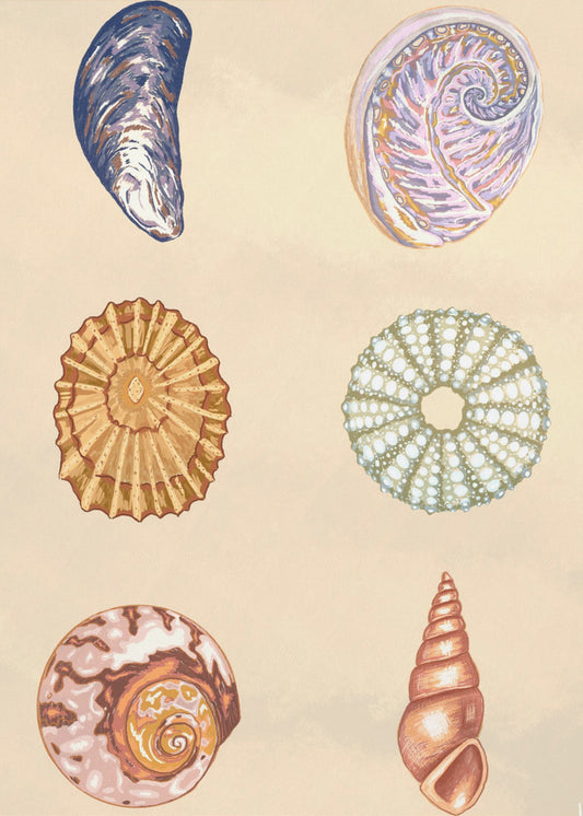 Schätze der Gezeiten | Poster