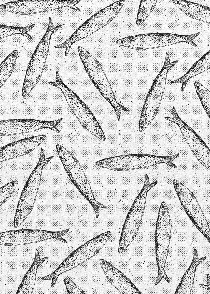 Sardinenfischmuster | Poster