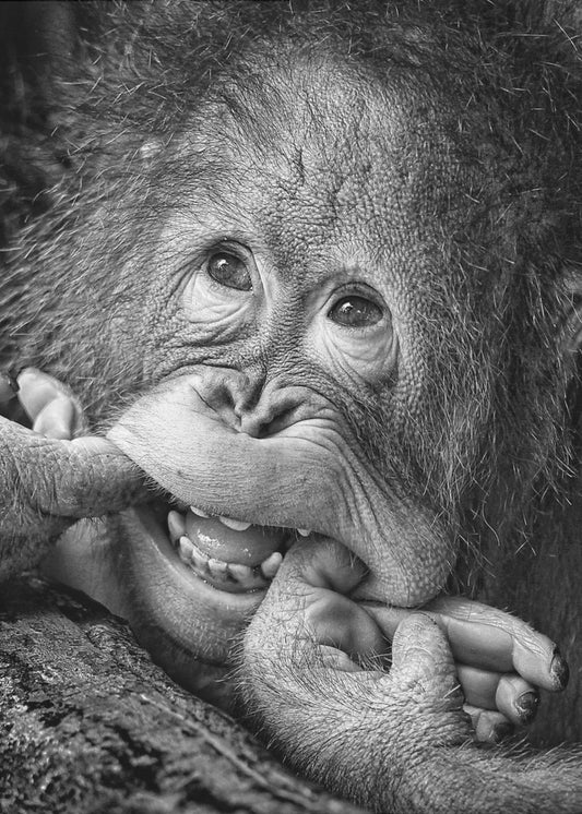 Großes Lächeln.....bitte | Poster